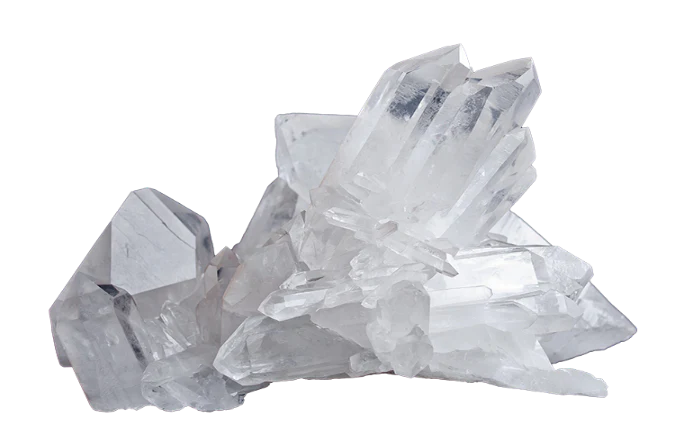 Tesla Medbedx support