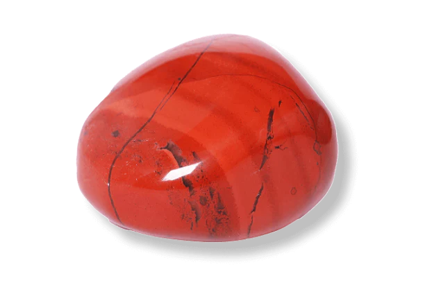 Tesla Medbedx support