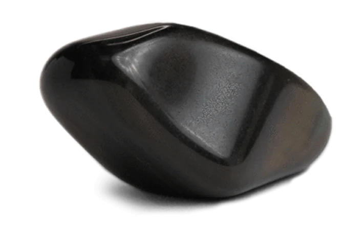 Tesla Medbedx support 