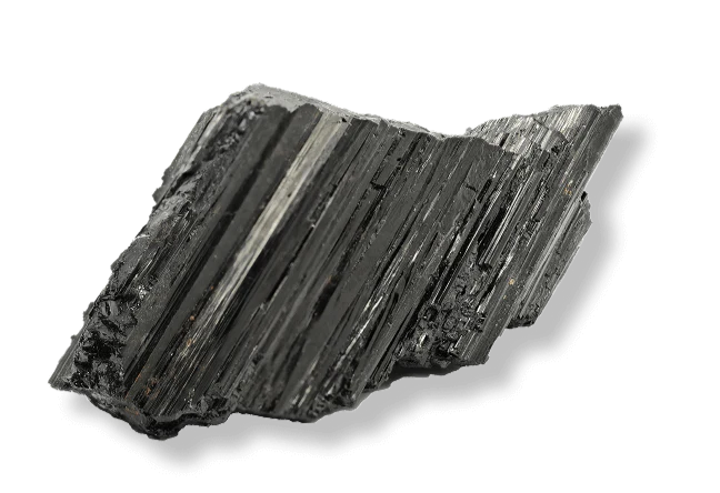 Tesla Medbedx support